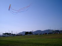 [A Cool Kite]