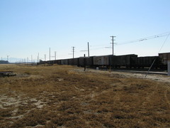 [Freight Cars]