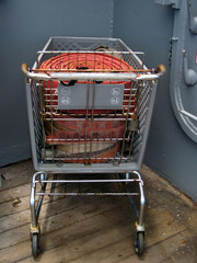 [Even Sailors Steal Shopping Carts]