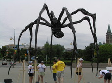 [Arachnid, National Art Gallery]