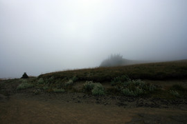 [The Foggy Summit]