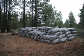 [Bags of Pine Cones at NF-18 Junction with NF-25]
