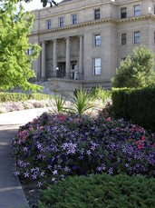 [Flowers in Front of the Capitol Building]