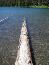 
		Log in Lower Twin Lake
		