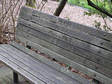 [Bench Carvings!]