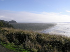 [Coastline, Southward from Cape Disappointment]