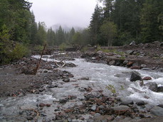 [More of the Sandy River]