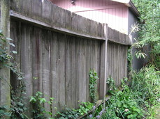[Fence, Back Left]