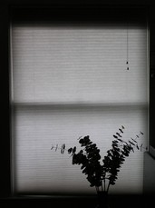 [Living Room Window]