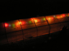 [Christmas Lights in Greenhouse]