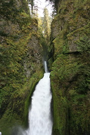 [Tanner Creek Waterfalls]