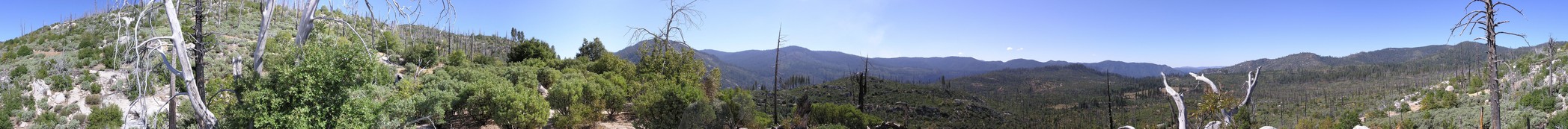 [Foresta, on the way to Hetch Hetchy]