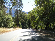 [Road to the Ahwahnee Hotel]